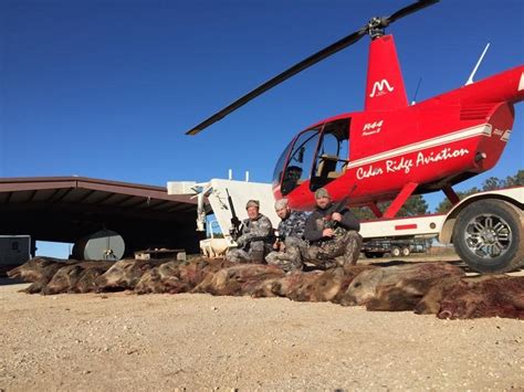 cheap helicopter hog hunts in texas